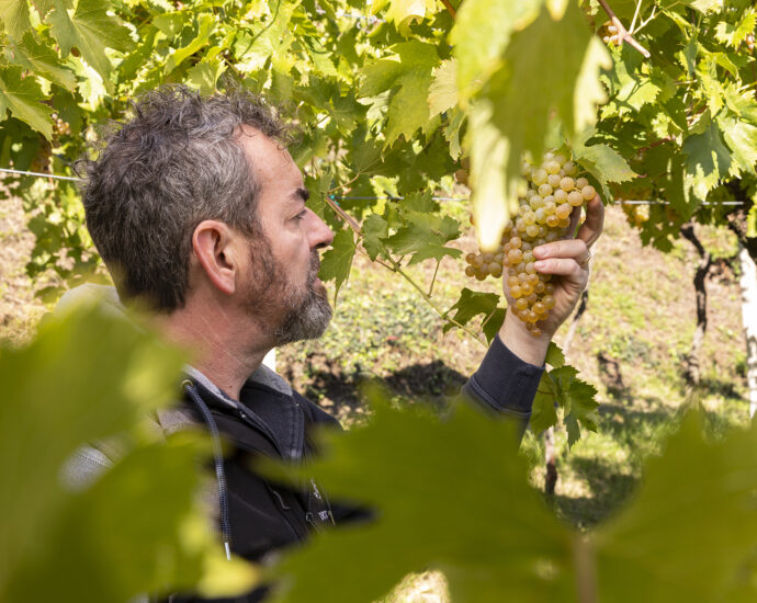 tenuta ballast vinicio mascarello vino gambelalra il blog di vinicio