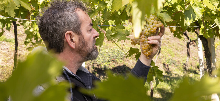 tenuta ballast vinicio mascarello vino gambelalra il blog di vinicio